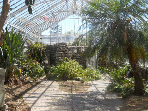 Wilder Park Conservatory & Greenhouse Restoration - Where Did The ...