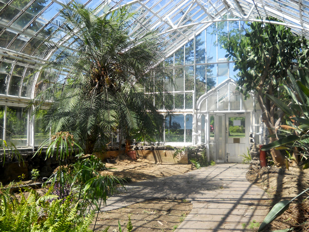 Wilder Park Conservatory & Greenhouse Restoration - Where Did The ...