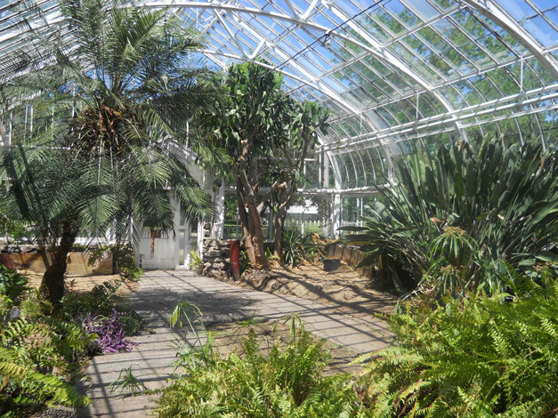 Wilder Park Conservatory & Greenhouse Restoration - Where Did The ...