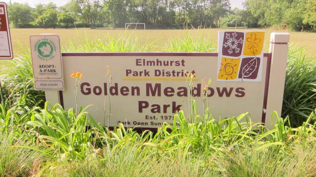 Meadows at City Park