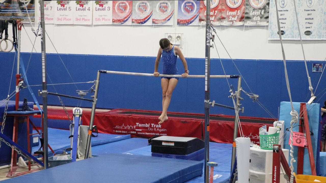 Gymnastics Sports Rings Bars Flexibility Agility Balance 