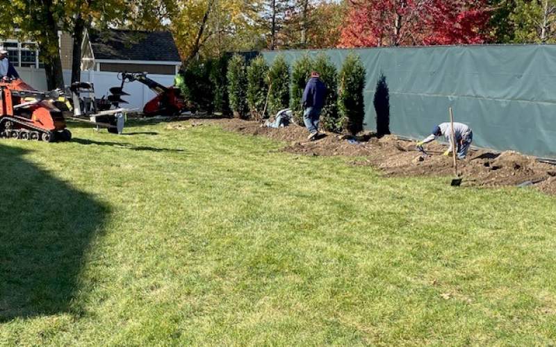 Crestview Park tree plantings