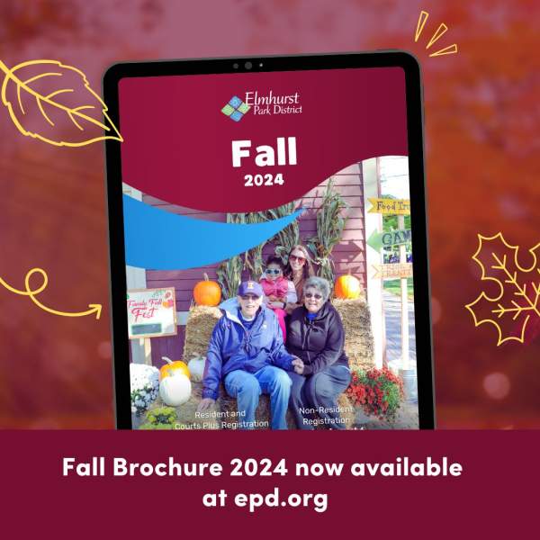 fall brochure