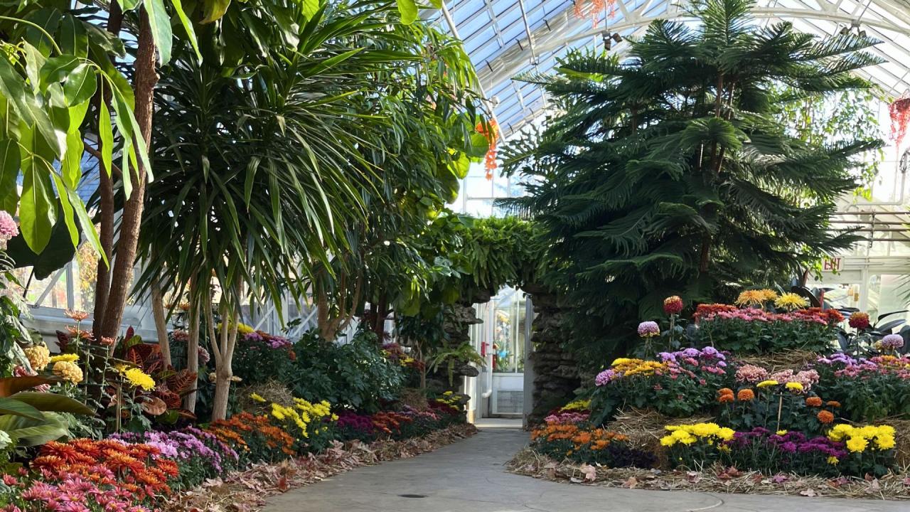 Fall Flower Show